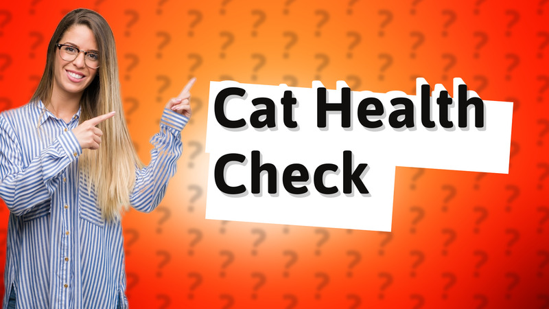 Cat Health Check