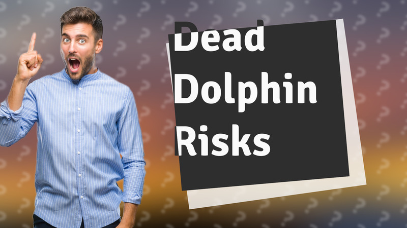 Dead Dolphin Risks