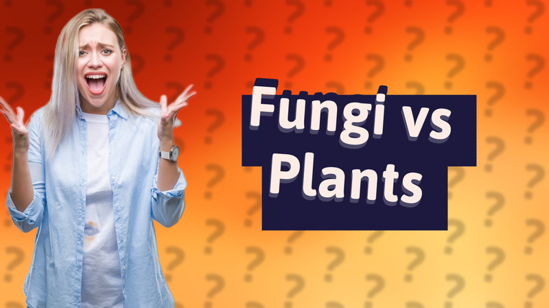 Fungi vs Plants