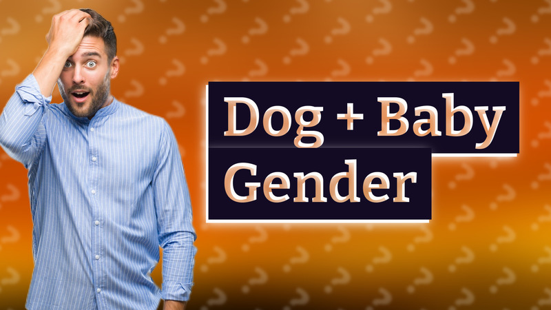 Dog + Baby Gender