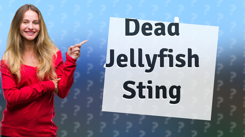 Dead Jellyfish Sting