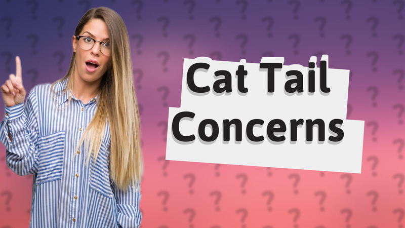 Cat Tail Concerns