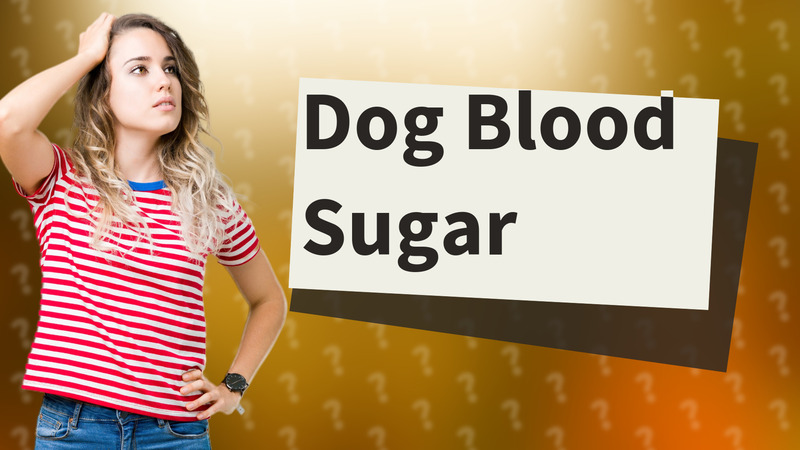 Dog Blood Sugar