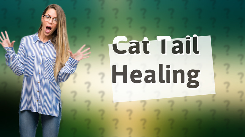 Cat Tail Healing