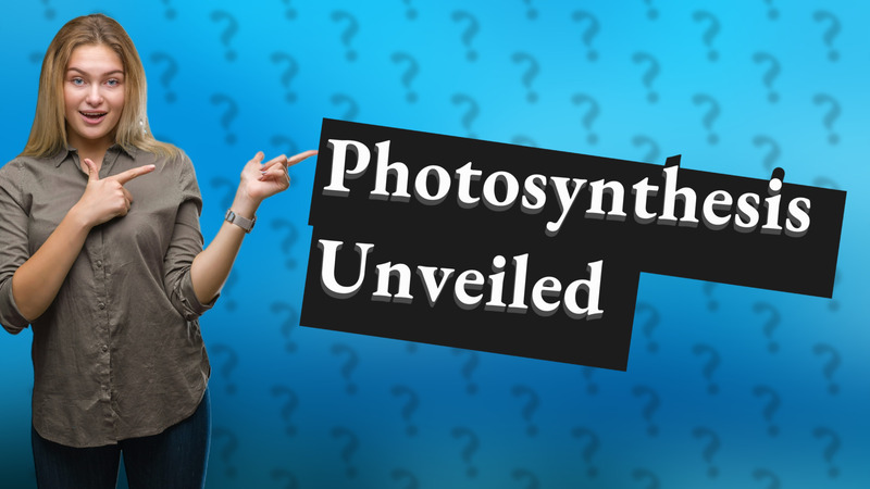 Photosynthesis Unveiled