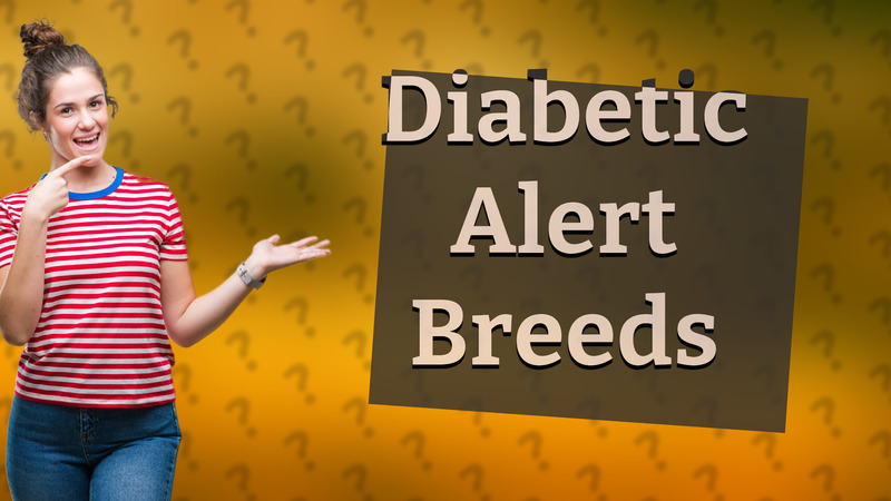 Diabetic Alert Breeds