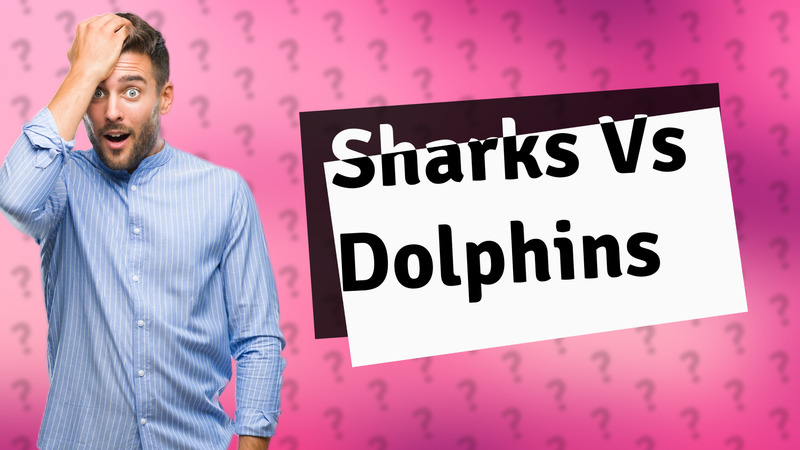 Sharks Vs Dolphins