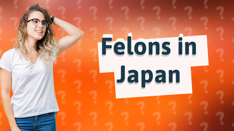 Felons in Japan