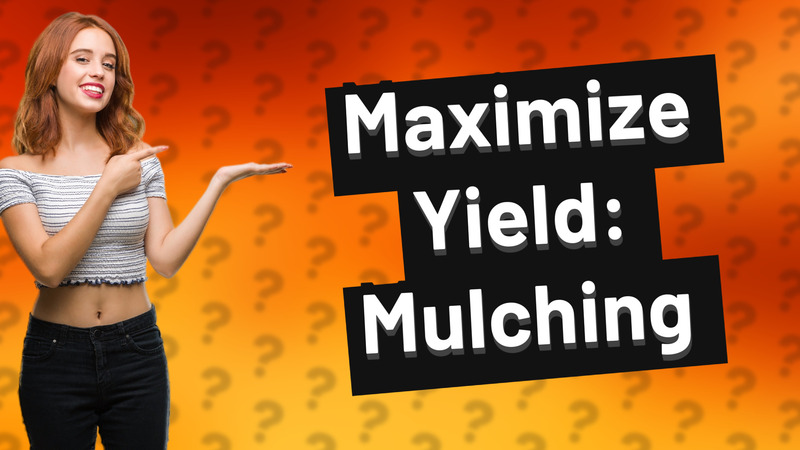 Maximize Yield: Mulching