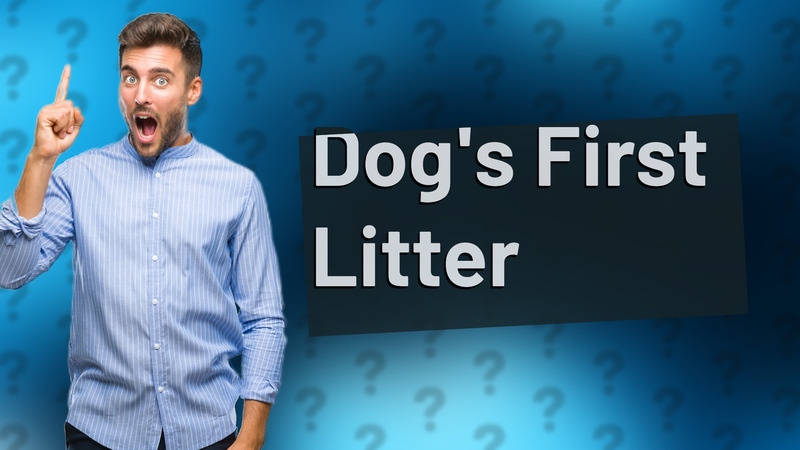 Dog's First Litter