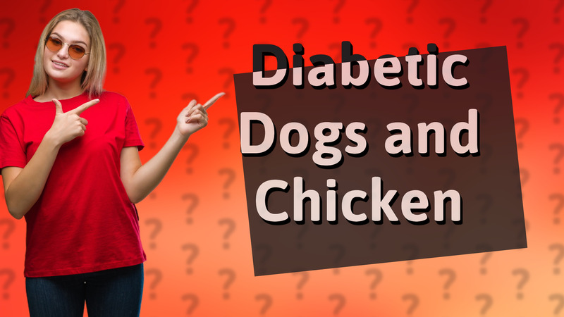 Diabetic Dogs and Chicken