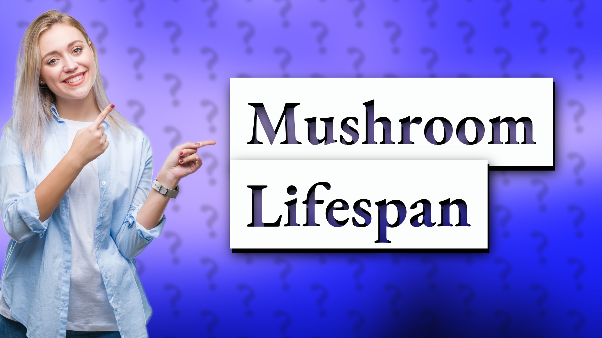 Mushroom Lifespan