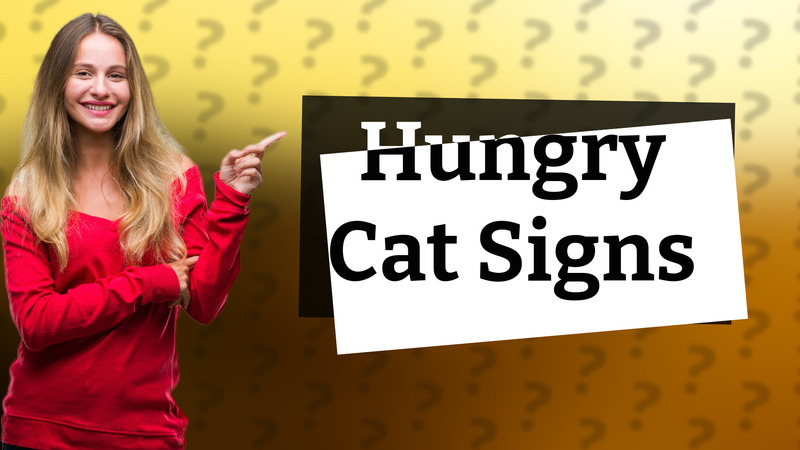 Hungry Cat Signs