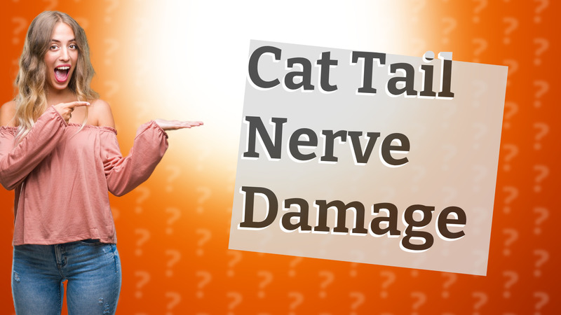 Cat Tail Nerve Damage