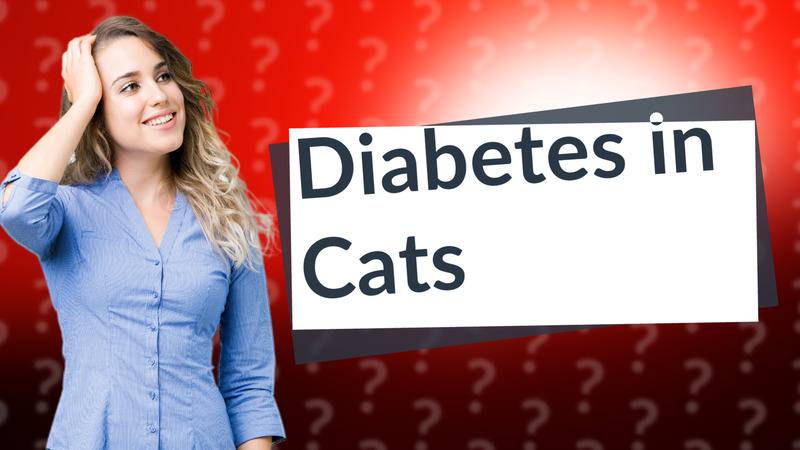 Diabetes in Cats