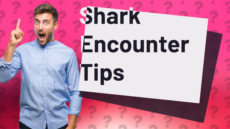 Shark Encounter Tips