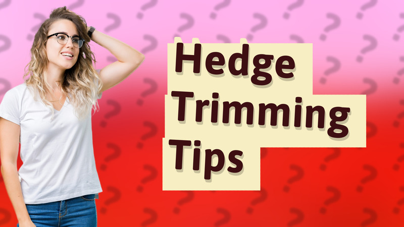 Hedge Trimming Tips