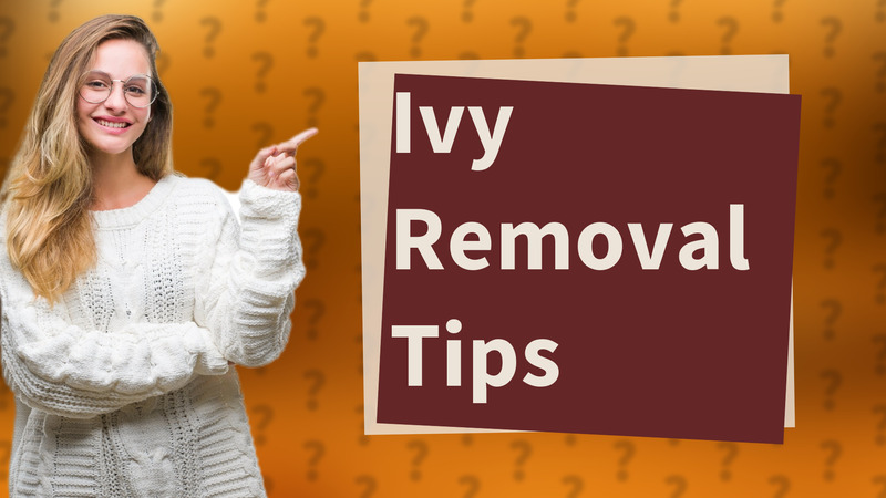 Ivy Removal Tips