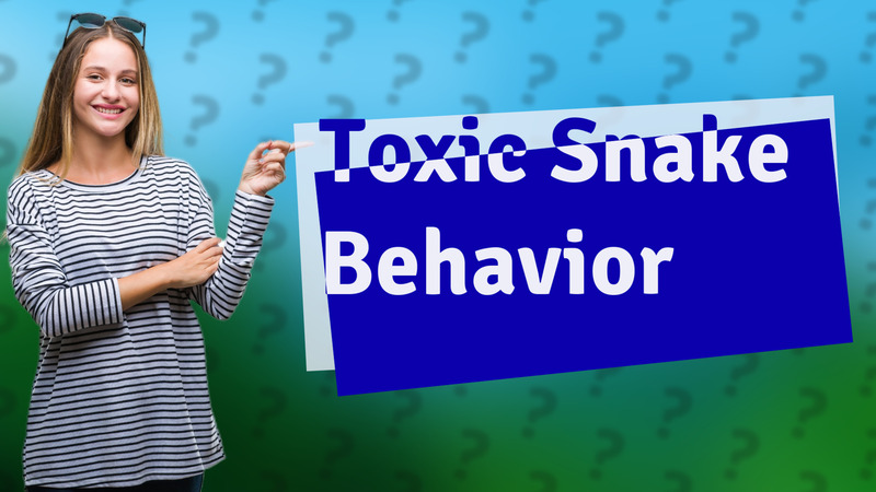 Toxic Snake Behavior