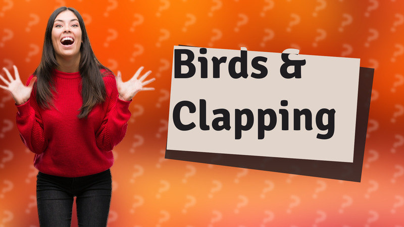 Birds & Clapping