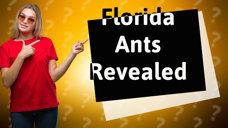 Florida Ants Revealed