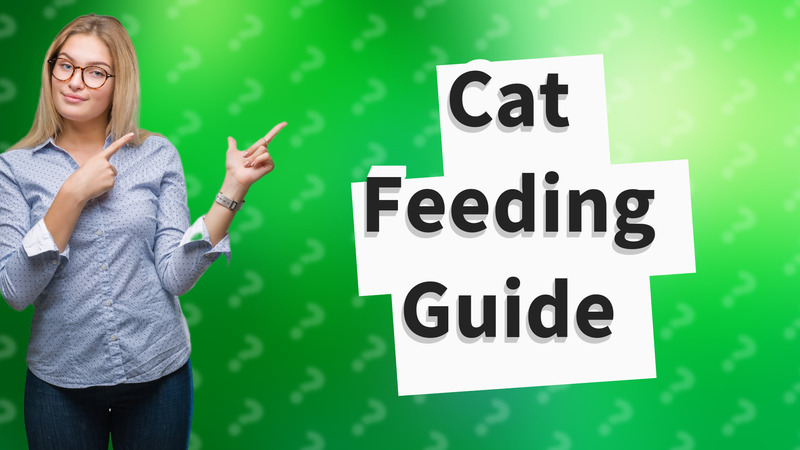 Cat Feeding Guide