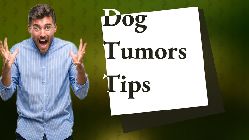 Dog Tumors Tips