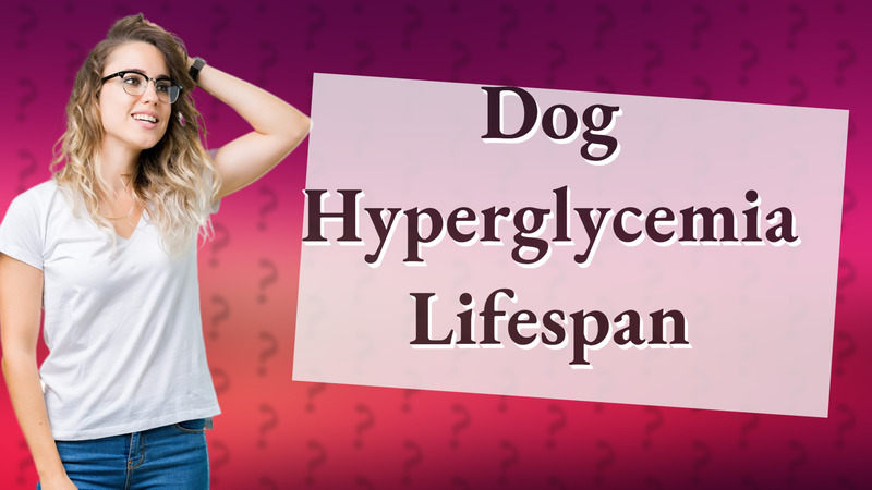Dog Hyperglycemia Lifespan