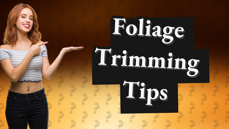 Foliage Trimming Tips