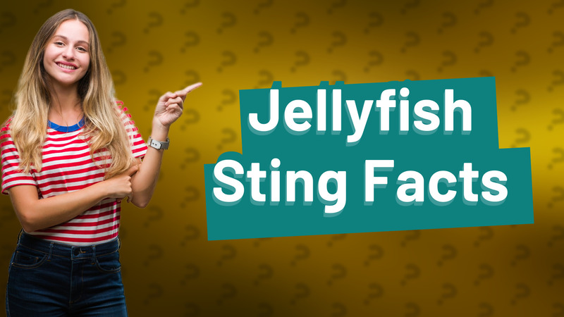 Jellyfish Sting Facts