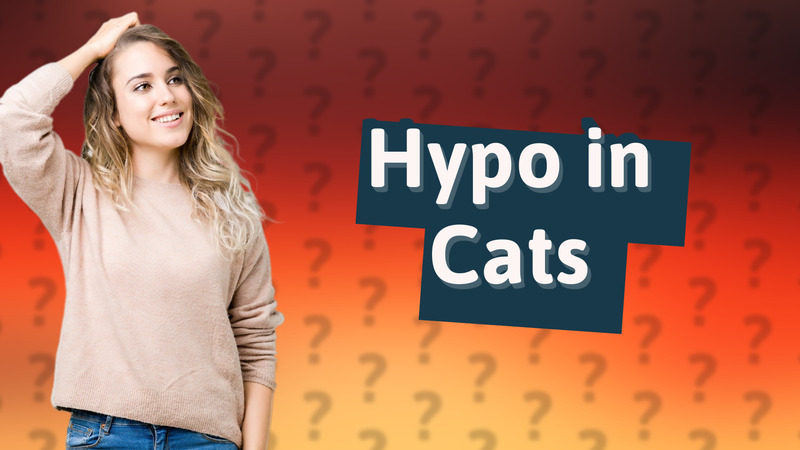Hypo in Cats