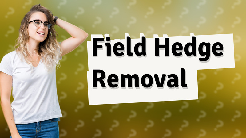 Field Hedge Removal