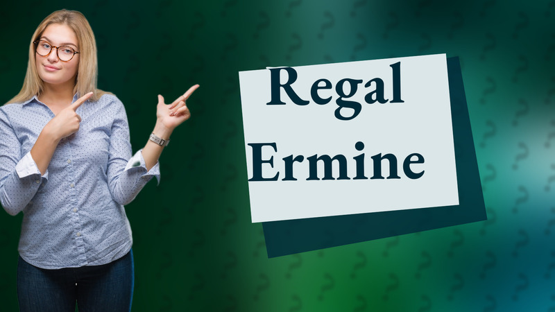 Regal Ermine
