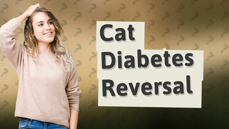 Cat Diabetes Reversal