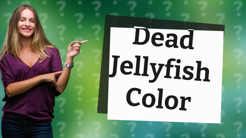 Dead Jellyfish Color