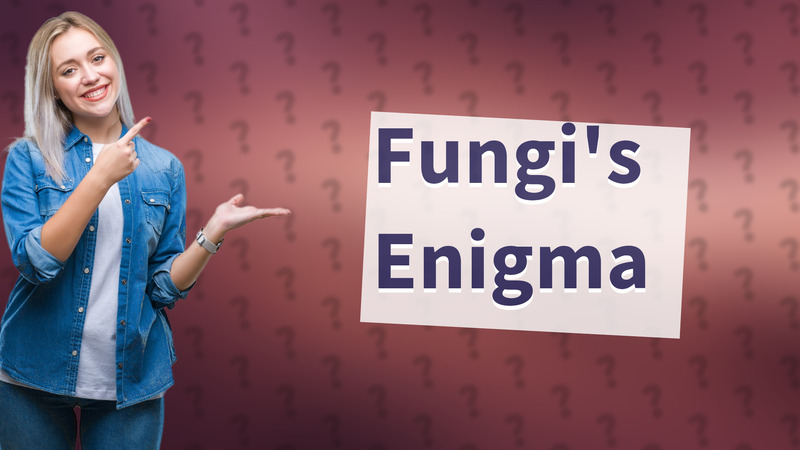 Fungi's Enigma