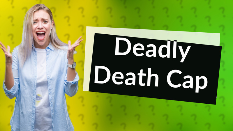 Deadly Death Cap