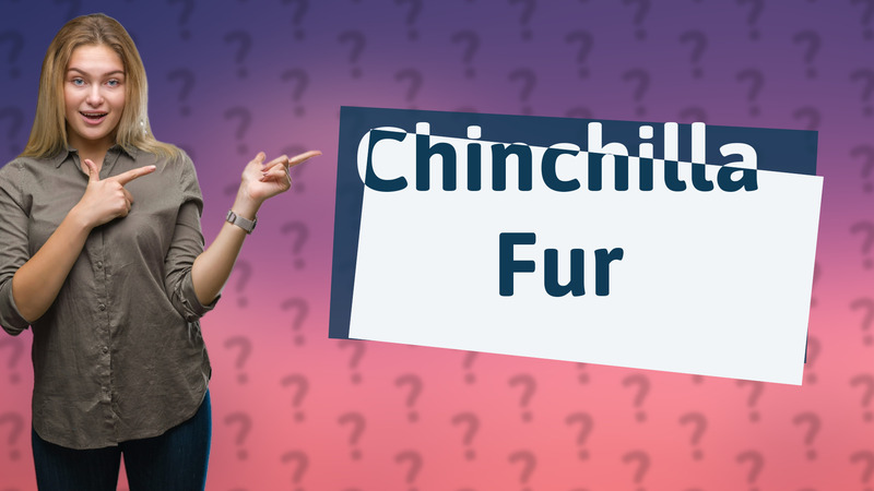 Chinchilla Fur