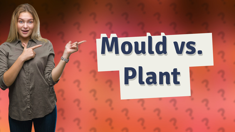 Mould vs. Plant