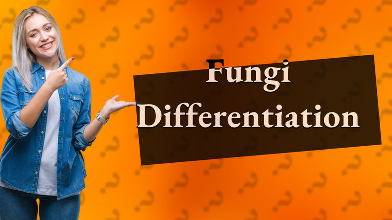Fungi Differentiation