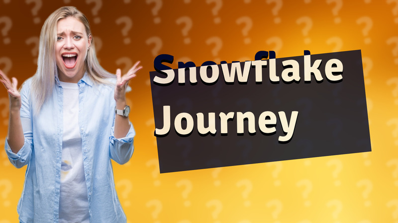 Snowflake Journey