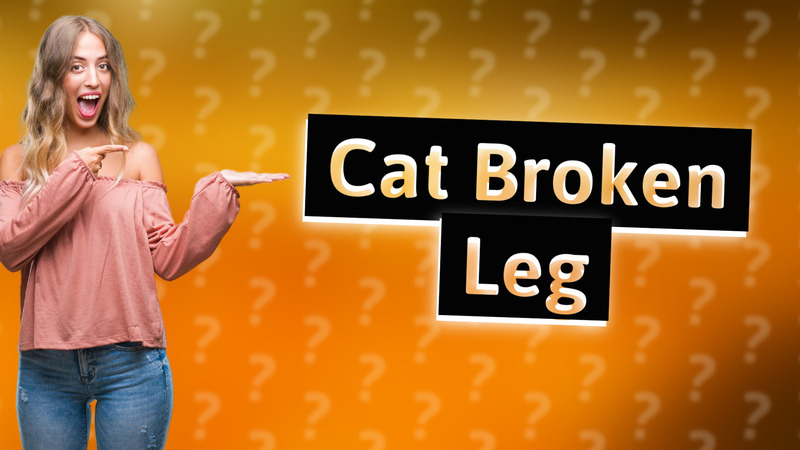 Cat Broken Leg
