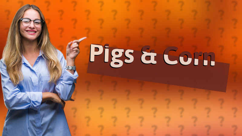 Pigs & Corn