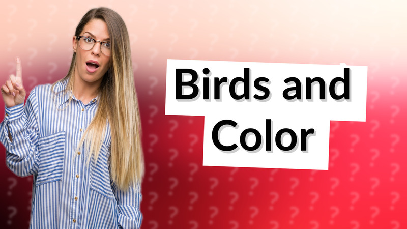 Birds and Color