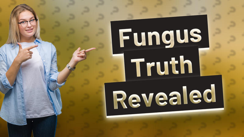 Fungus Truth Revealed