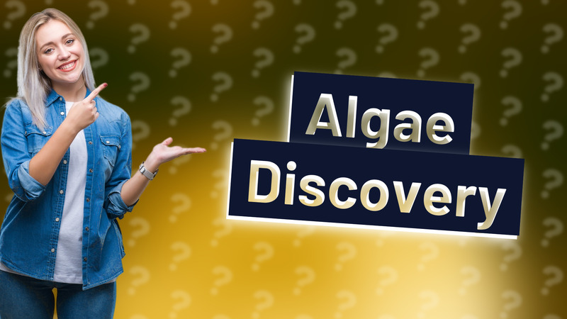 Algae Discovery