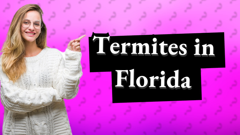 Termites in Florida