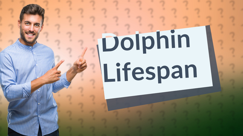 Dolphin Lifespan