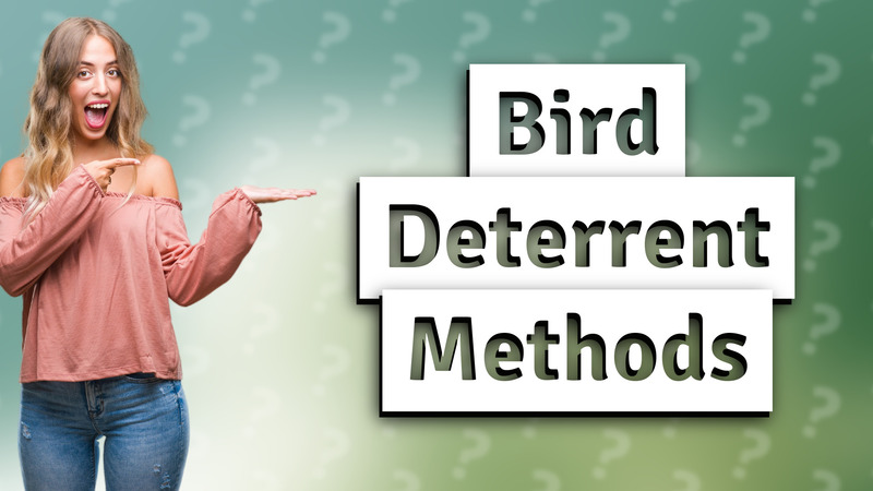 Bird Deterrent Methods