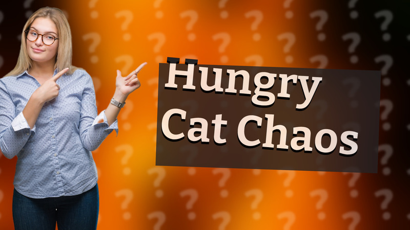 Hungry Cat Chaos